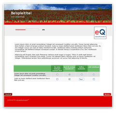 red poppy: Layout Vorlage für Online-Fragebogen