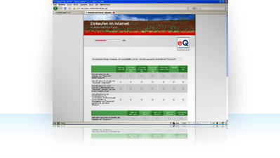 Beispiel eines Online-Fragebogens